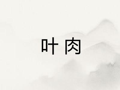 叶肉