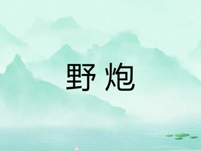 野炮