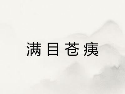 满目苍痍