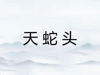 天蛇头