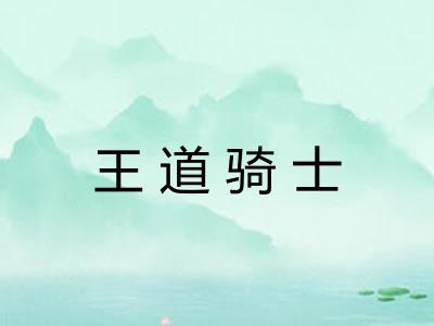 王道骑士