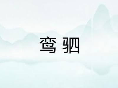 鸾驷