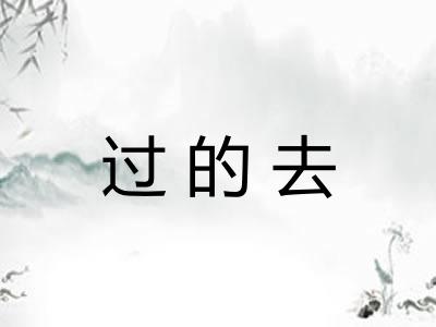 过的去