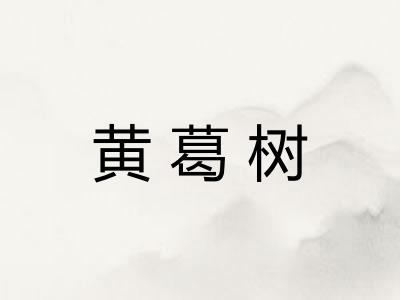 黄葛树
