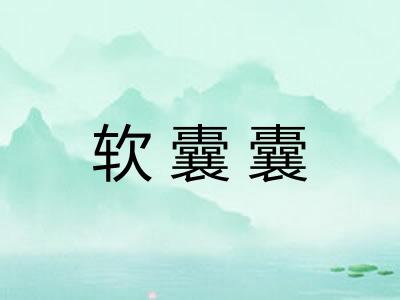 软囊囊