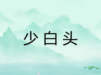 少白头