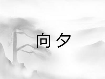 向夕
