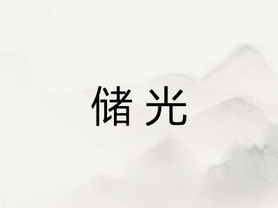 储光