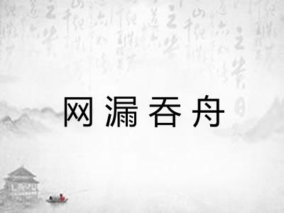 网漏吞舟