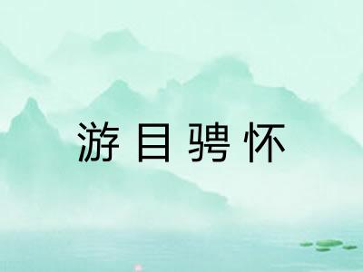 游目骋怀