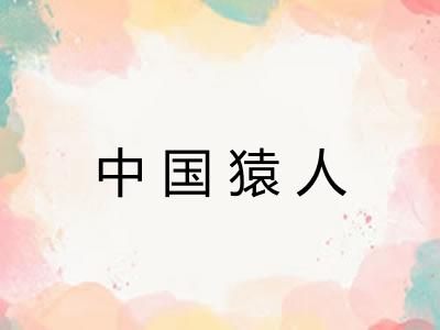 中国猿人