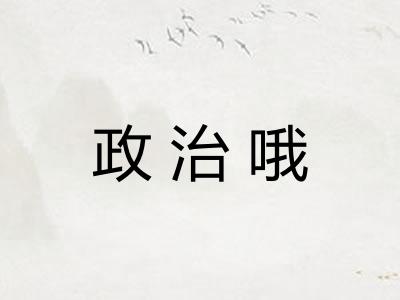 政治哦