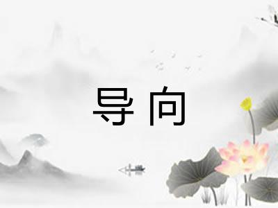 导向