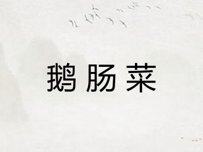 鹅肠菜
