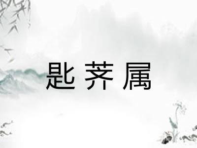 匙荠属