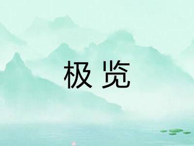 极览