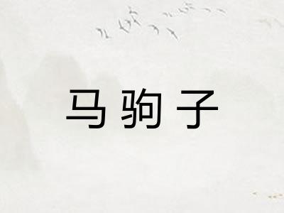 马驹子