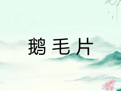 鹅毛片