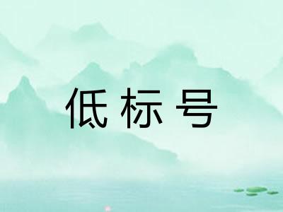 低标号