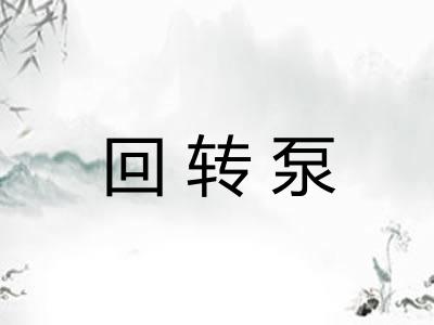 回转泵