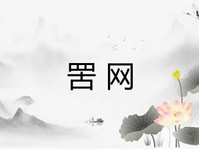 罟网