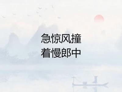 急惊风撞着慢郎中