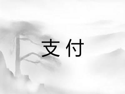 支付