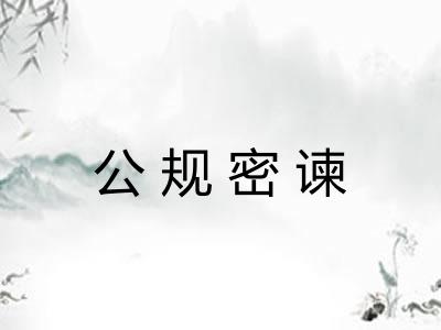 公规密谏