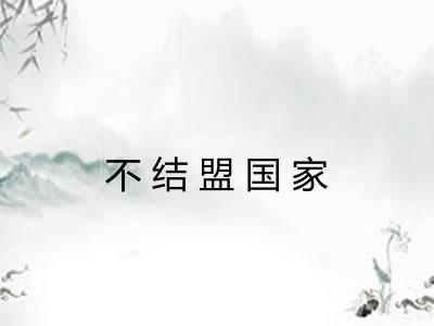 不结盟国家
