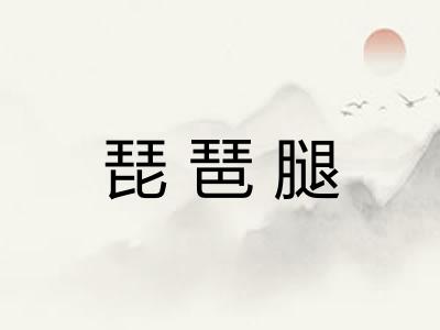 琵琶腿
