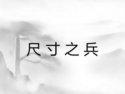 尺寸之兵