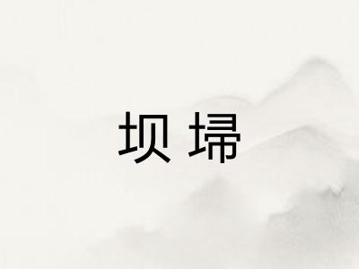 坝埽