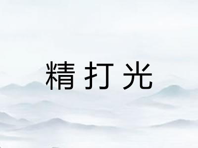 精打光