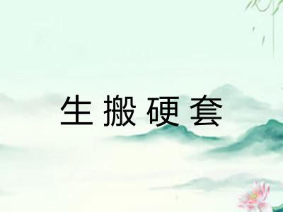 生搬硬套