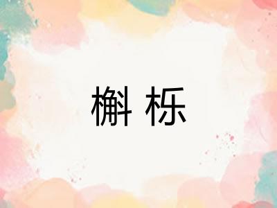 槲栎