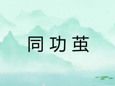 同功茧