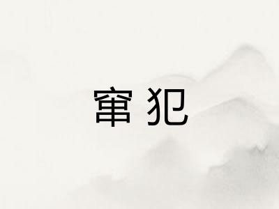 窜犯