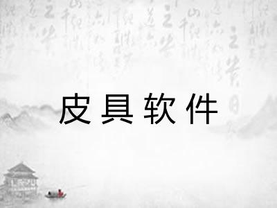 皮具软件