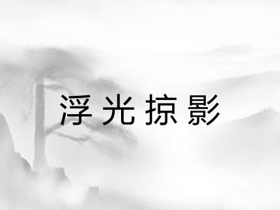 浮光掠影