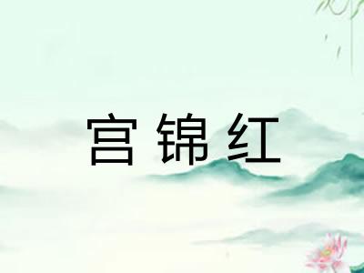 宫锦红