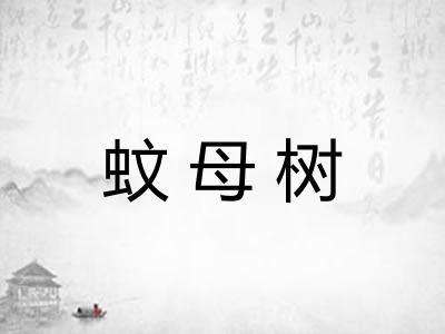 蚊母树