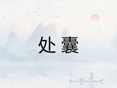 处囊