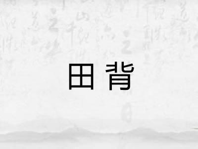 田背