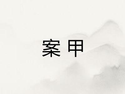 案甲