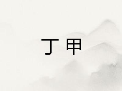 丁甲