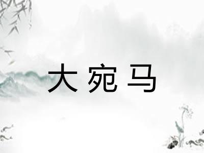 大宛马