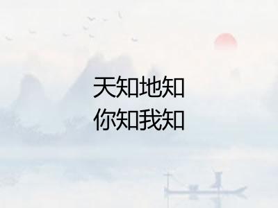 天知地知你知我知