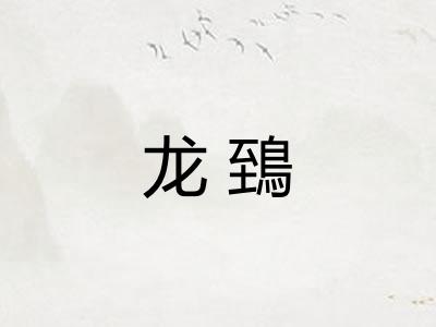 龙鵄
