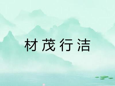 材茂行洁