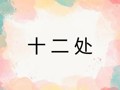 十二处